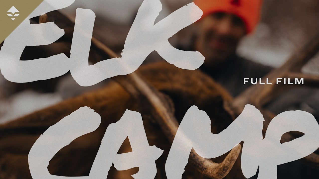 3 Public Land Elk Tags in the Snow | Late Season Rifle Hunt – GOHUNT From the Field