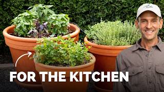 Planting My Container Herb Garden | Easy Herbs to Grow in Pots