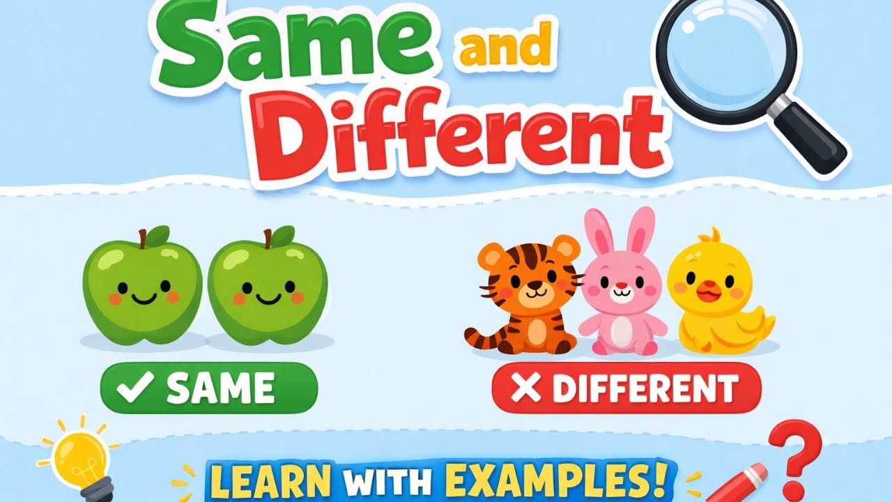 Same and Different 🔍 | Learn with Easy Examples | Kids Learning| Smart Spark Kids