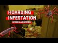 Hoarding Infestation: Spiders vs Roaches | Brooksville, FL