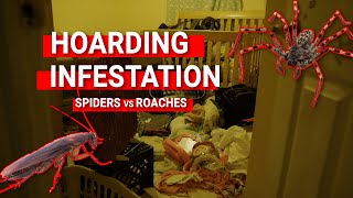 Hoarding Infestation: Spiders vs Roaches | Brooksville, FL