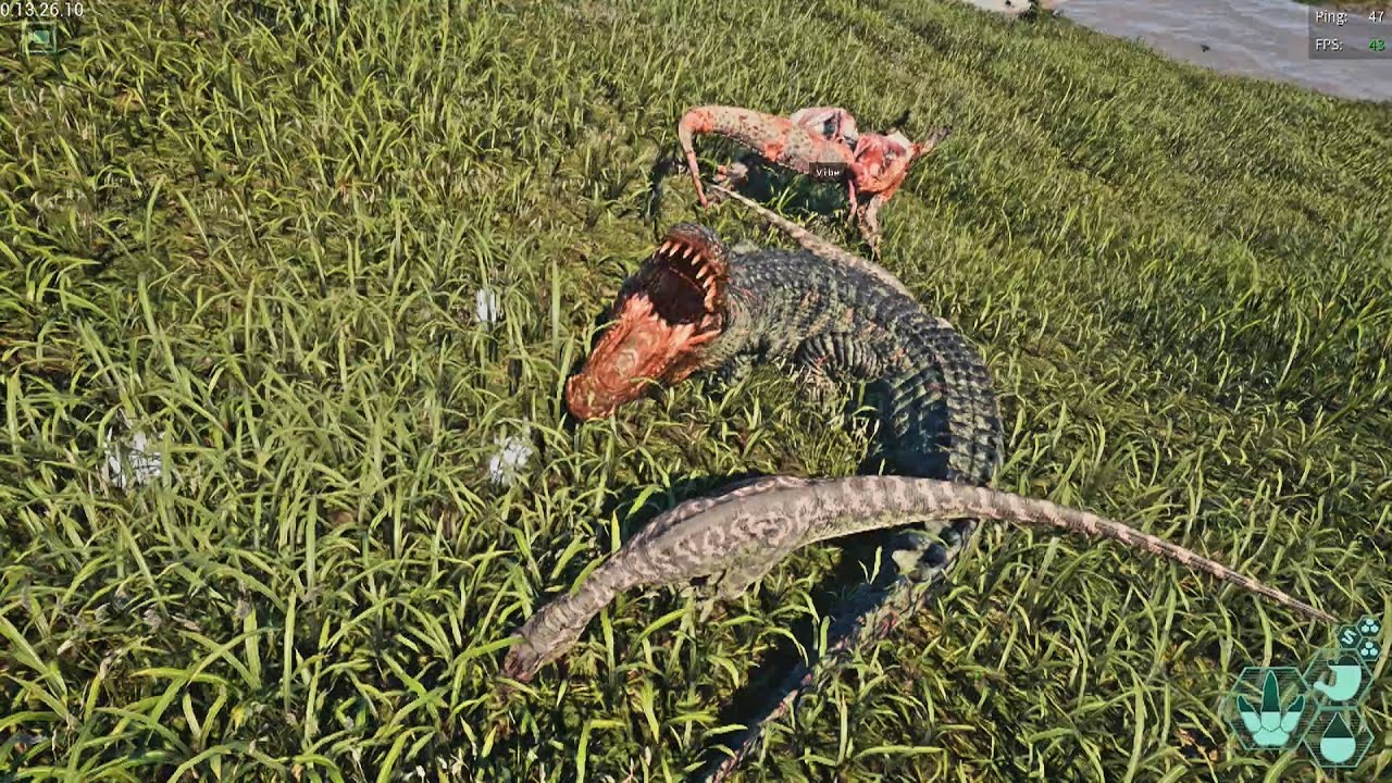 Onmi Raptor omni raptor vs adult deino - The Isle Evrima - YouTube