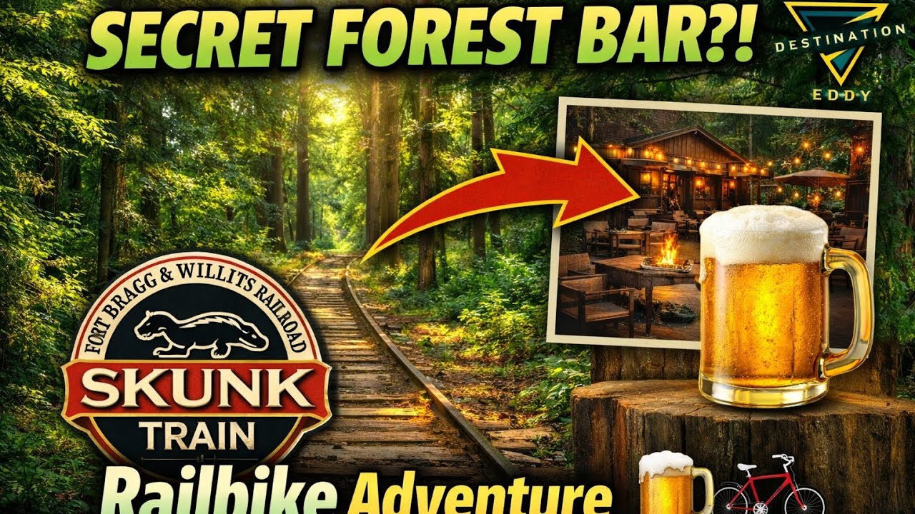 Поезд «Скунк», рельсовые велосипеды и бар «Глен Блэр» #поездскунк #фортбрагг #поездка #путешестви...