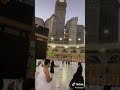 ياشفيعي يارسول الله