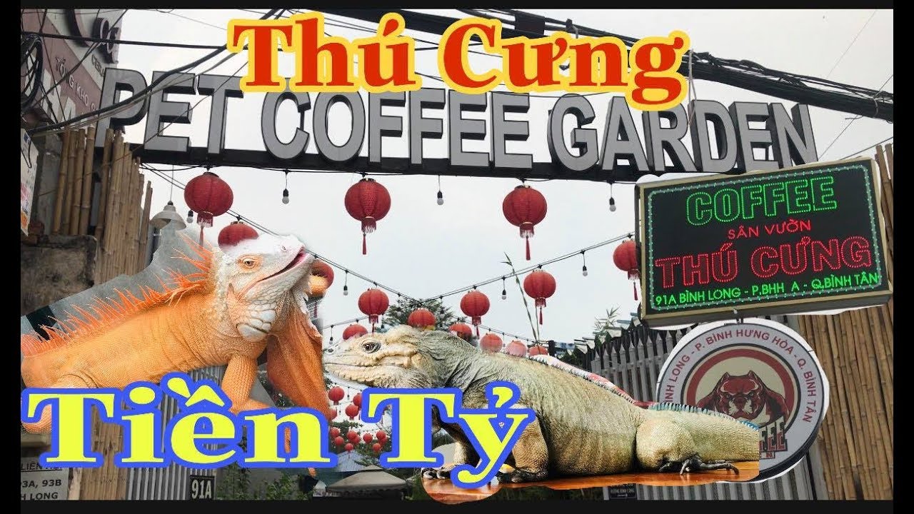 cafe pet tphcm  2022 Update  Gặp Bé Na Tại Quán Cà Phê Thú Cưng Tiền Tỷ Giữa Sài Gòn | PET COFFEE GARDEN |NPD Channel.