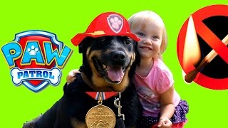 ПОЖАР Щенячий Патруль PAW Patrol СПАСАЕТ Игрушки Маша и Медведь из огня PAW Patrol Toys For Kids(Щенячий Патруль PAW Patrol СПАСАЕТ Игрушки Маша и Медведь из огня PAW Patrol Toys For Kids ПОЖАР! Привет друзья! Сегодня..., 2016-08-08T16:29:32.000Z)