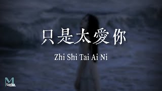 Ding Fu Ni (丁芙妮 ) – Zhi Shi Tai Ai Ni (只是太愛你) Lyrics 歌词 Pinyin/English Translation (動態歌詞)