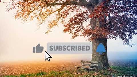 سورة مريم - سورة 19 - عدد آياتها 98                 بسم الله الرحمن الرحيم