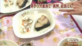 大豊漁で給食に寒ブリ　富山・氷見市の小学校（11/01/25）