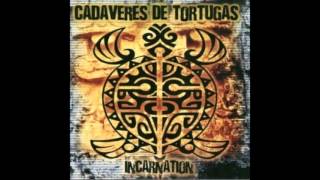 Cadaveres de Tortugas - Dial 666