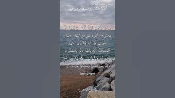 🌺القرآن الكريم 🌺ما تيسر من سورة آل عمران