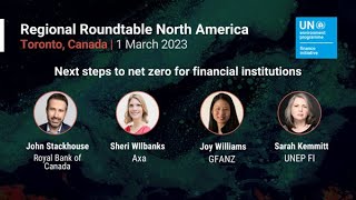 Next steps to net zero for financial institutions