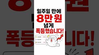 라데온 RX 9070 XT 가격 폭등 주의보