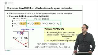 El proceso anamox en el tratamiento de aguas residuales | 14/18 | UPV