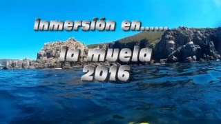 LA MUELA 2016