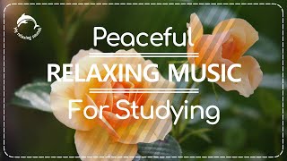 🌷👨‍🏫RELAXING music for CONCENTRATION and STUDYING. Featuring Flowers &amp; Plants #studymusic #calmmusic