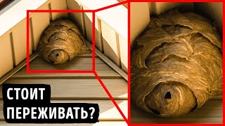 картинка: Если увидели это во дворе, немедленно зовите подмогу