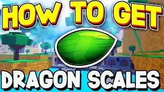 How To GET DRAGON SCALE in BLOX FRUITS! ROBLOX