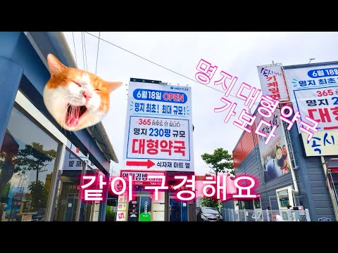 명지 대형약국 같이 구경해요 #명지국제신도시#약국추천#약국브이로그#명지오션시티#대형약국#약국템 