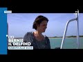 "Bernie il delfino" - Sabato 6 giugno ore 22 su TV2000