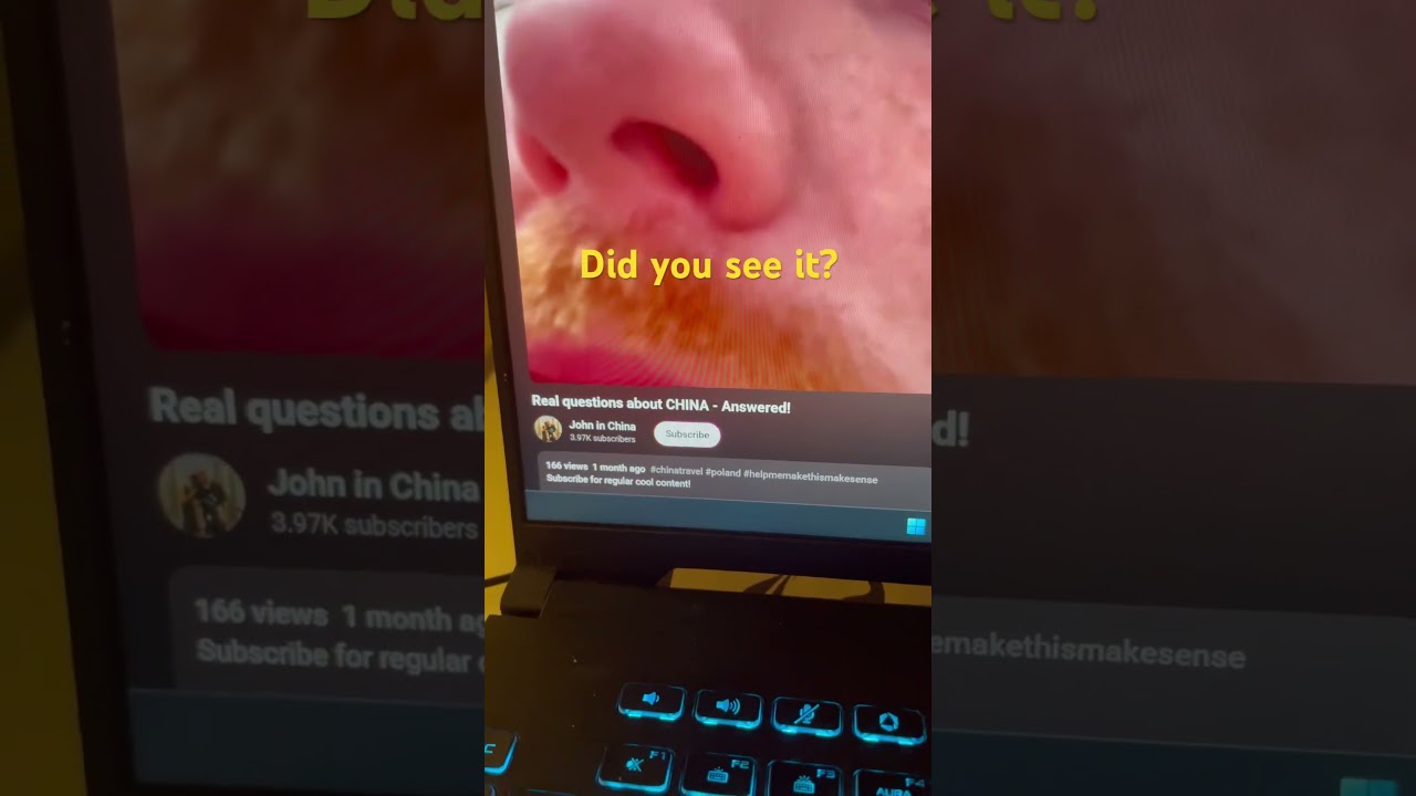 I never noticed this 