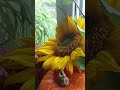 осенний натюрморт🌻🧅autumn still life