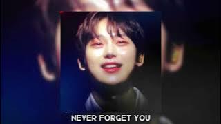 Never Forget You - Noisettes | sped up   reverb