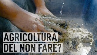 AGRICOLTURA NATURALE: coltivare con il metodo Fukuoka