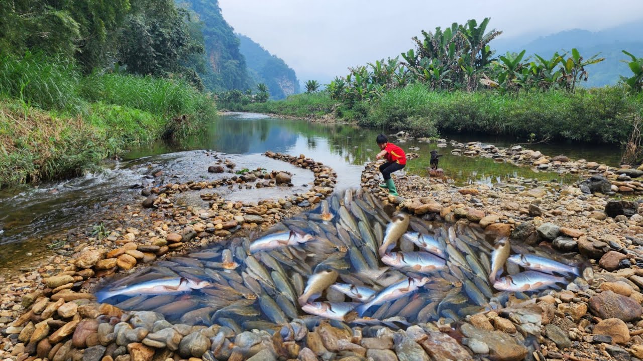 Full video of 90 days of making fish traps in a big stream by boy Lam ...