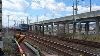 EF210-308 1074レ 土手根踏切通過