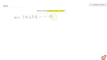 Which is the smallest whole number?...