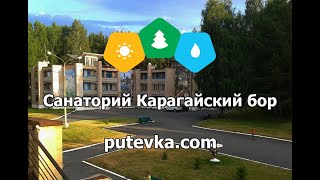 Санаторий Карагайский Бор Цены На Новый Год Санаторий Карагайский Бор Цены На Новый Год