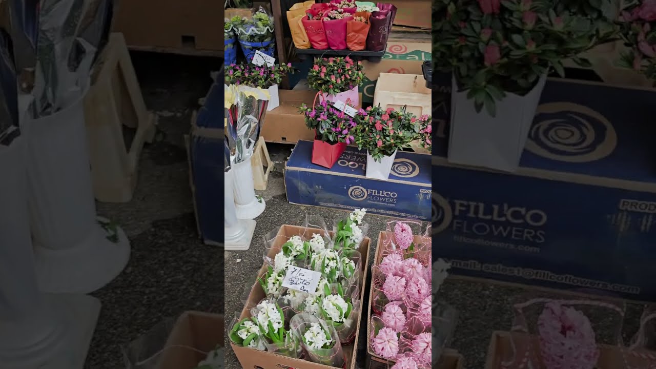 🌸 Atmosfera de 1 Martie în Piața Giurgiu– mărțișoare, flori și aglomerație/cum arata de 1 Martie