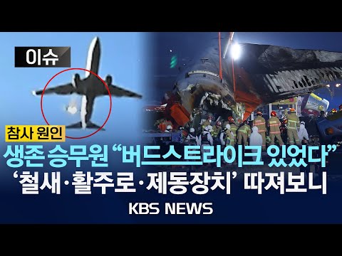 [이슈][참사 원인·의문점] 생존 승무원 &amp;#39;버드스크라이크&amp;#39; 진술/<strong>조류</strong> 충돌 경고 1분 뒤 &amp;#39;메이데이&amp;#39;…3분간 무슨 일?