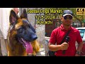 Saddar dogs market 1252024 karachi  rare and unique dogs       