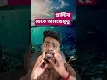একটি প্লাস্টিক বোতল কি ১০০ বছর বাঁচবে? 🥤💀 | Plastic vs Our Future