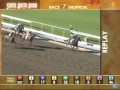 2011 Goodwood Stakes