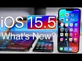 iOS 15.5 is Out! - What's New?