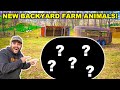 Buying AUCTION ANIMALS for the NEW BACKYARD!!! (Never Had These Before!)