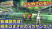 ポケモン Hp調整解説 16n 1 16n 1とは何か 誤字修正版 初心者のためのポケモン解説 58 サン ムーン Pokemon Sun And Moon Youtube