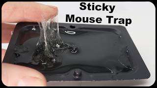 Why Are These The Most Popular Mouse Traps On Amazon? This seems like a scam. Mousetrap Monday. by Shawn Woods 100,205 views 3 months ago 9 minutes, 24 seconds