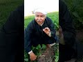 الفياجرا الطبيعي ركة الفياجرا الطبيعي ركة