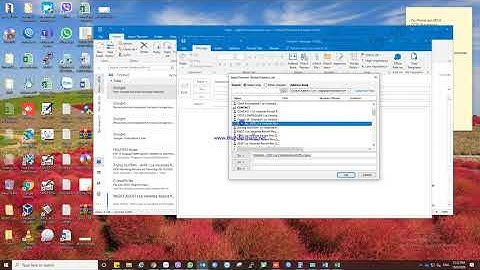 How to use Global Address List in Microsoft Office