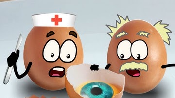 الشيخ عبد الرحمن السديس سورة البقرة رقية شرعية لحفظ وتحصين المنزل و البركة تلاوة رائعة Sourah Baqara