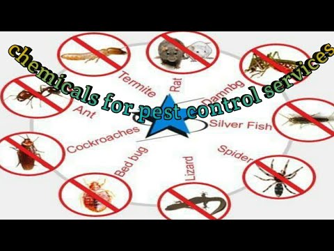 pest control chemical