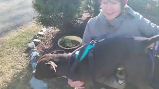 FOHA Buddies - 12/27/23