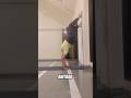 Handstand Practice🙌🏻#yoga #motivation #changeyourmindsetchangeyourlife