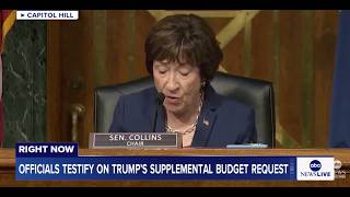 Sec. Hegseth, Gen. Caine, Sec. Rollins testify on Trump’s supplemental budget request: LIVE