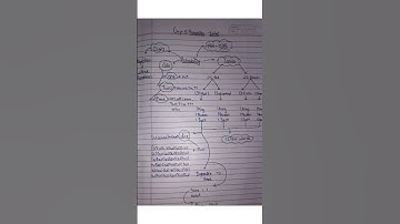 Maths Mindmap class 10 #concept#mindmap#statistics#probability#Arithmeticprogression#boardexam