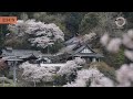 【花曇り 春の聖林寺】